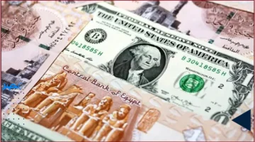 ارتفاع سعر الدولار أمام الجنيه المصري يعمق تحديات الاقتصاد المصري في نوفمبر 2025